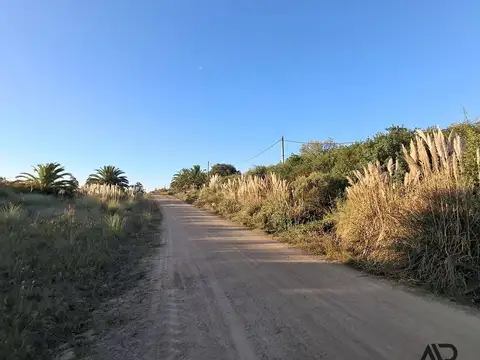 Casa en venta de 3 dormitorios en Estación la Floresta