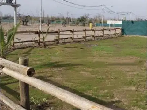 VIDELA ARANDA al 900