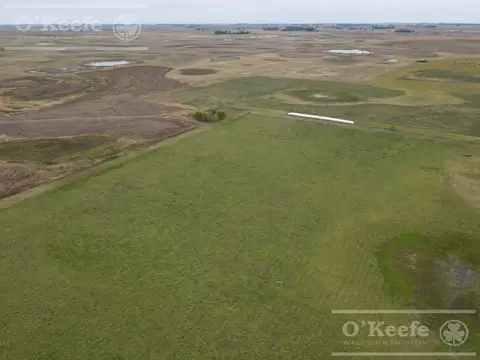 Campo en venta de 324 has de General Alvear