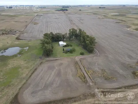Campo en venta de 324 has de General Alvear