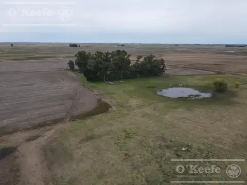 Campo mixto de 324 has de General Alvear