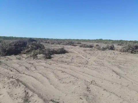 VENDO CAMPO 300 HECTAREAS RUTA 143 GENERAL ALVEAR MENDOZA