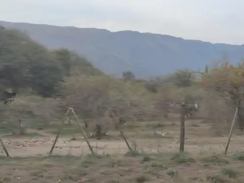 Terreno en Venta, FOT 30