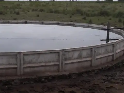 Campo en Venta de 986  ha