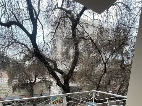 GARIBALDI 73, CIUDAD