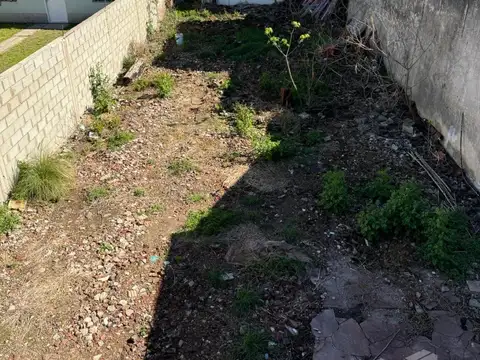 Terreno en Alquiler 8  mts Frente