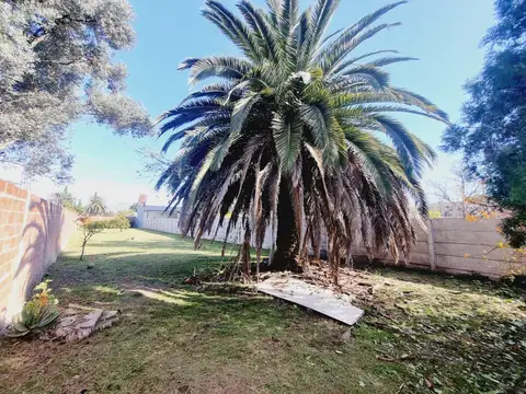 Lote de 10 x 60 listo para edificar