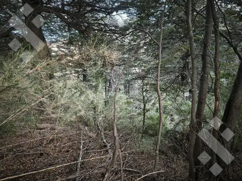 Terreno en Venta de 600,0 m2