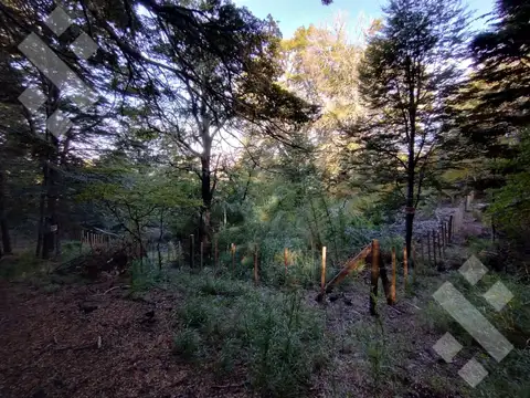 VENTA TERRENO 600 M2 - KALEUCHE - SAN MARTIN DE LOS ANDES - NEUQUEN