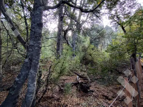 Terreno en Venta de 600,0 m2