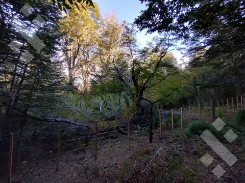 VENTA TERRENO 600 M2 - KALEUCHE - SAN MARTIN DE LOS ANDES - NEUQUEN
