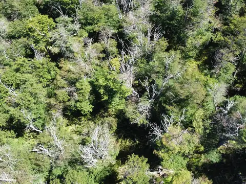 VENTA TERRENO 600 M2 - KALEUCHE - SAN MARTIN DE LOS ANDES - NEUQUEN