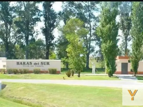 Haras del Sur I