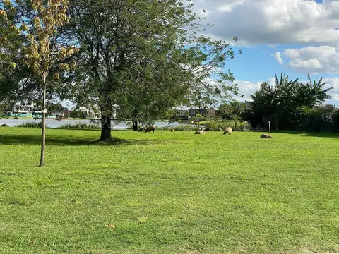 Terreno en Venta de 800,0 m2