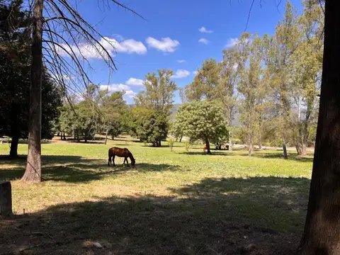 Avenida argentina 100, Piso Ave