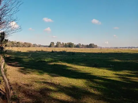 Campo en Venta con Alambrado