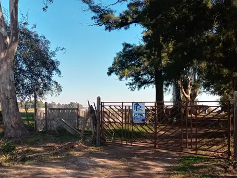 Campo en Escalada 1,6 hectáreas