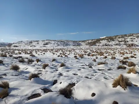 Terreno en Venta de 7000,0 m2