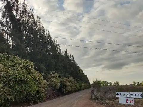 Campo en Venta de 5  ha