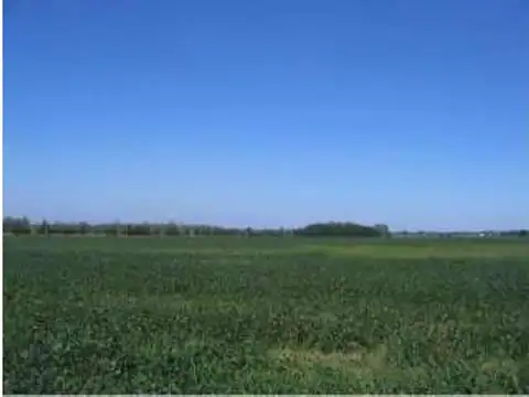 EXCELENTE CAMPO DE 50 HAS.  EN EXALTACION DE LA CRUZ- POLO