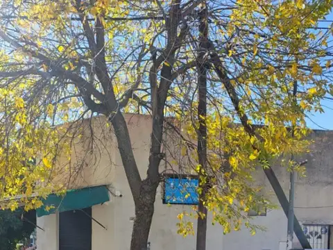 Local en Alquiler 50 años