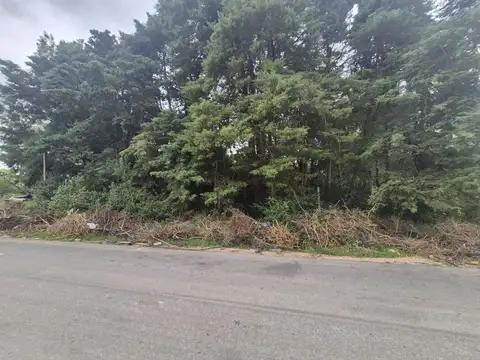 Terreno - Venta - Uruguay, Canelones