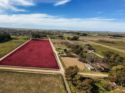 Quinta en Venta en María Ignacia, USD 99.000