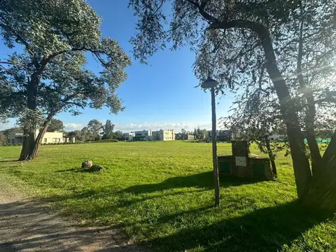LAS CASUARINAS PILAR DEL ESTE