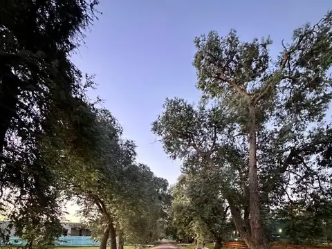 Terreno en Venta de 1381,0 m2