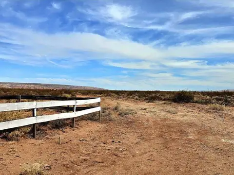 Terreno en Venta en Senillosa, USD 30.000
