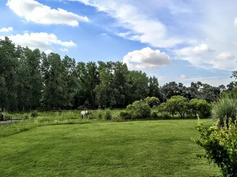 Zona de la  Asociación Argentina de Polo