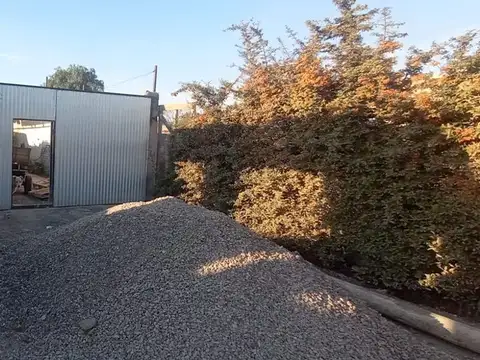 grifoulier 100