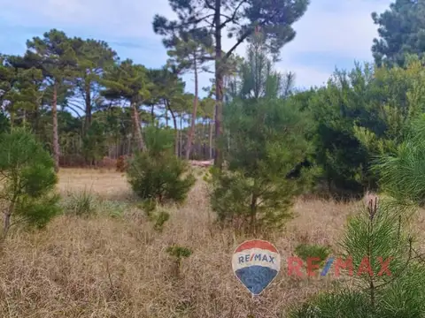 Terreno en Venta en Pinamar Norte, USD 140.000