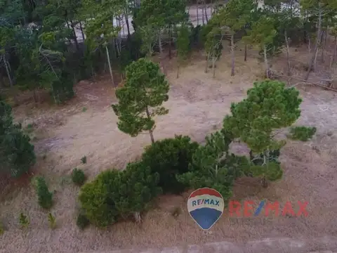 Lote Venta Pinamar Barrio Bosques Norte Planos Mar