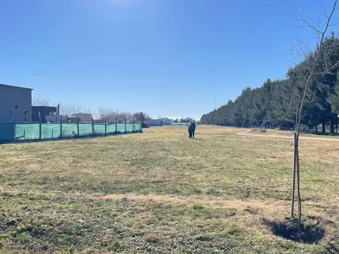 Terreno en Venta 50  mts Fondo