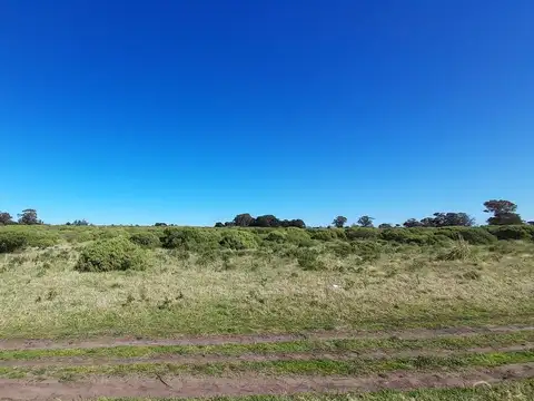 VENTA LOTE 45.000m2 ZONA SUR MAR DEL PLATA