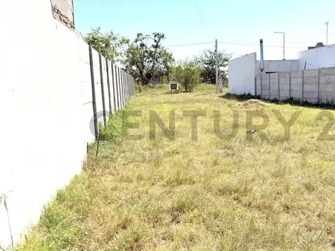 Terreno en Venta 39  mts Fondo