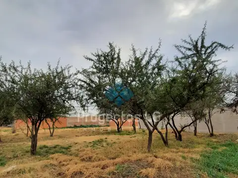 VENTA-LOTES 455m2-SINSACATE-CON ESCRITURA