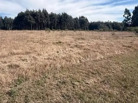 Terreno en Venta en Colonia Yerua, USD 61.000