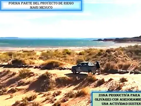 LOTES Y FINCAS DE 5 HECTAREAS EN URBANIZACION VACA MUERTA