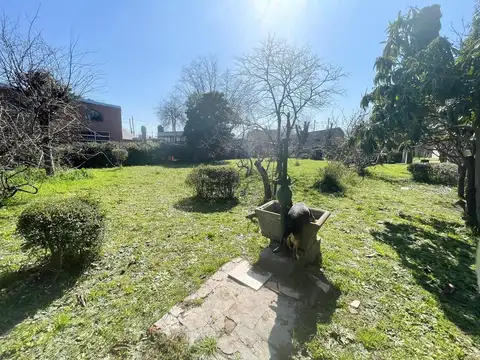 Las Retamas 200