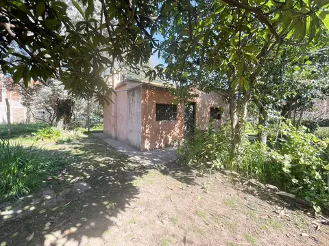 Las Retamas 255