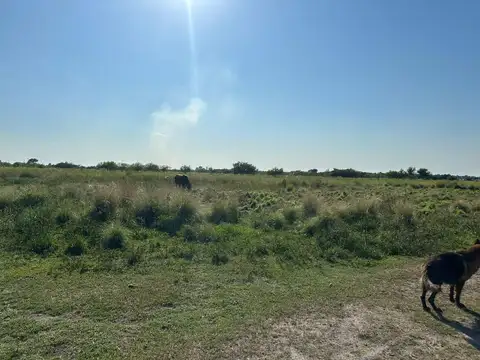 Campo en Venta de 48  ha