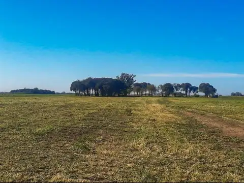 Terreno en Venta de 377,65 m2