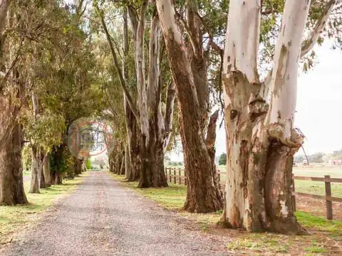 Terreno en Venta de 1228,0 m2