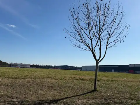 Puente del Inca 2450  53.157 mts de terreno