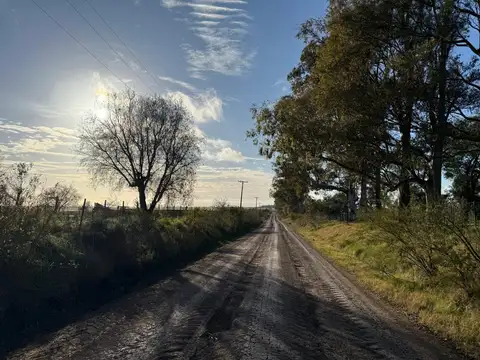 54 has Campo Agrícola  PERMUTA, o VENTA x depto Cap. Federal