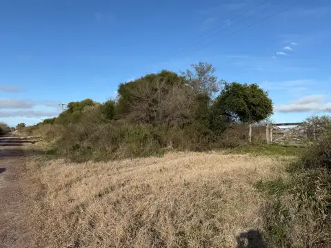 54 has Campo Agrícola  PERMUTA, o VENTA x depto Cap. Federal