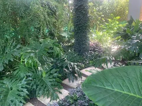 departamento Alquiler  Mono con PILETA jardin