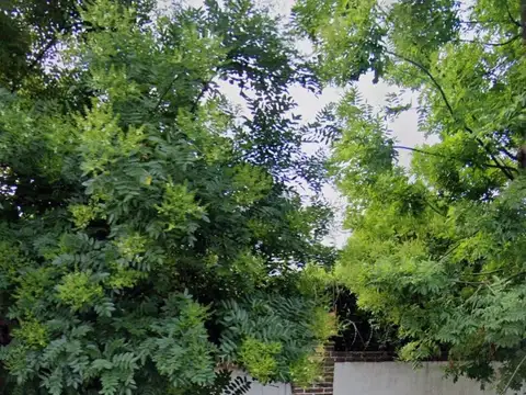 Terreno en Venta de 456,0 m2
